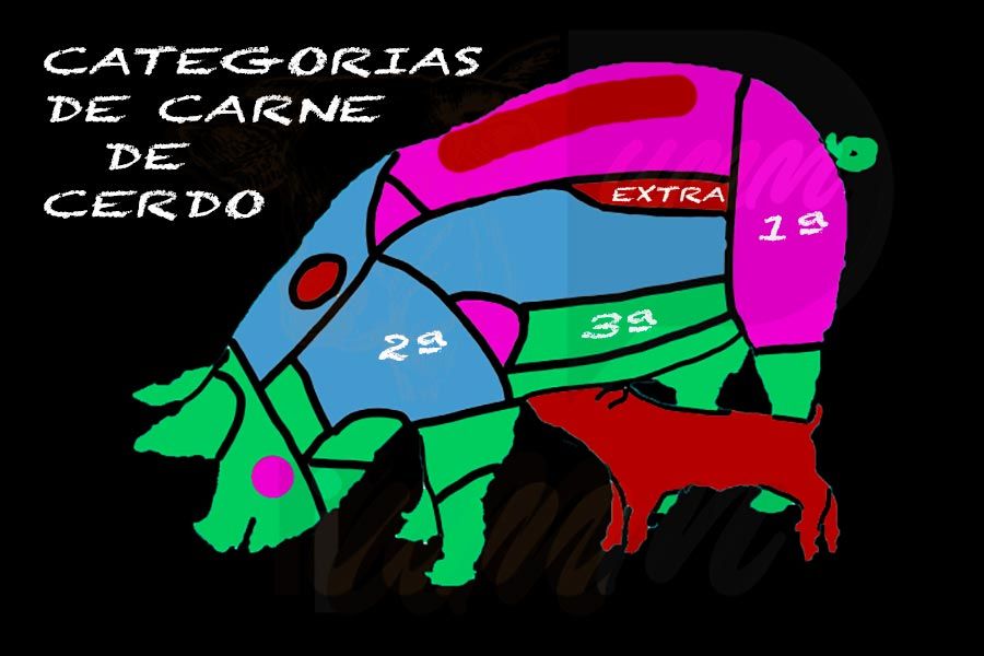 Despiece-cerdo-categorias
