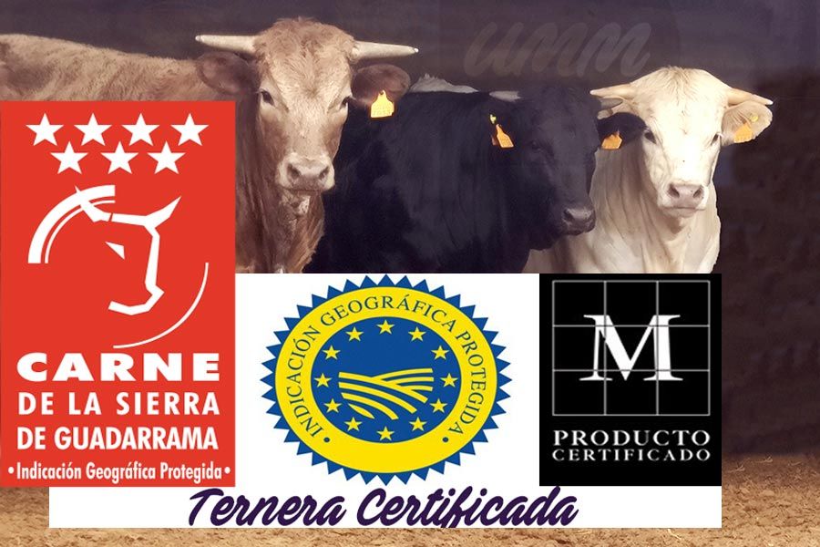 IGP-Ternera-Guadarrama