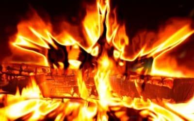El fuego y la carne combinación vital en la evolución humana