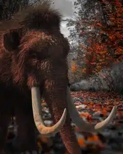 carne de caza evolución humana